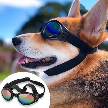 Adjustable Padded Sunglasses for Medium Dogs - Collapsible Design for Convenient Travel and Style