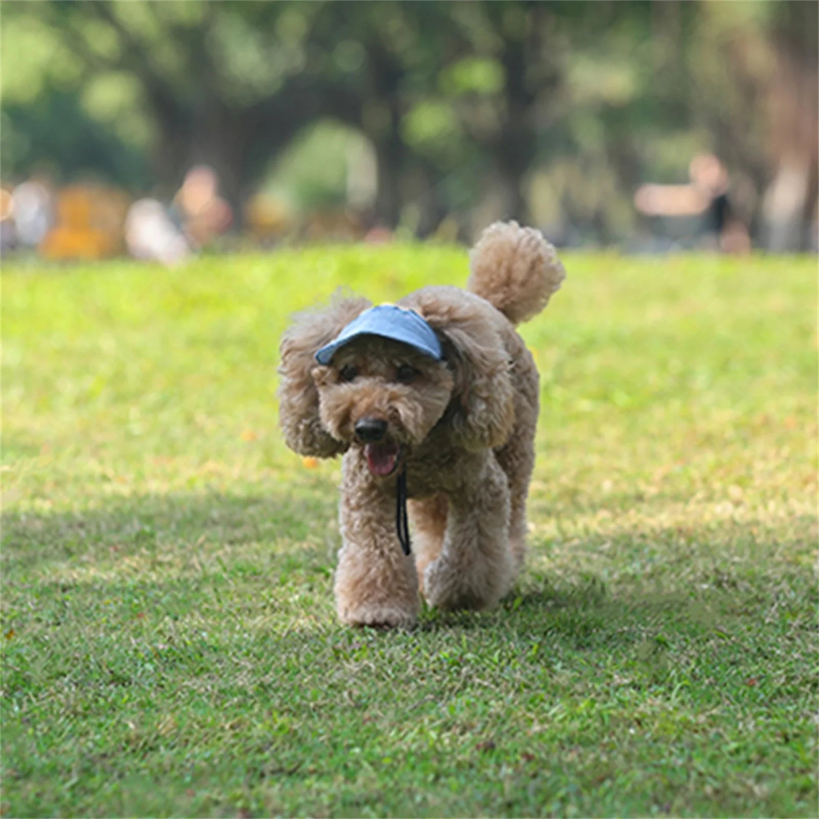 Adjustable Baseball Hat for Dogs: Ideal for Sunny Adventures
