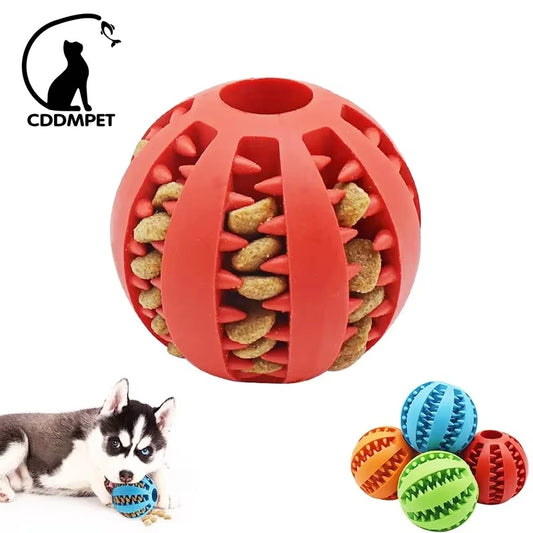 Durable Dog Ball Toys for Small Breeds